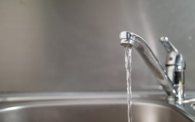 feature_fluoride